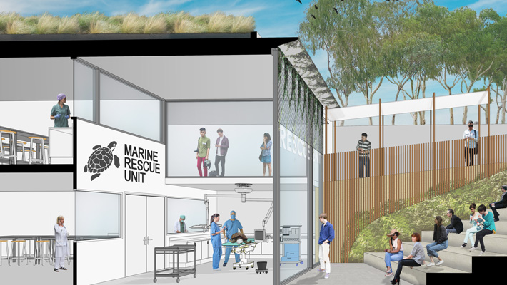 Render of the new Wildlife Hospital at Taronga Zoo Sydney.