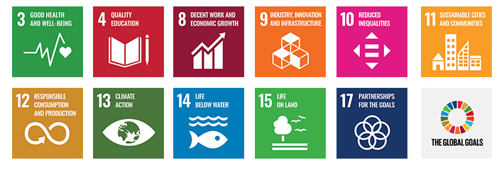 United Nations Sustainable Development Goals