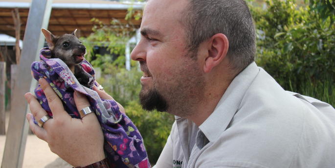 Orphaned joey gets a helping hand