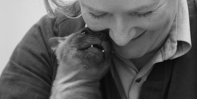 Taronga moves to support Dhole conservation in Thailand