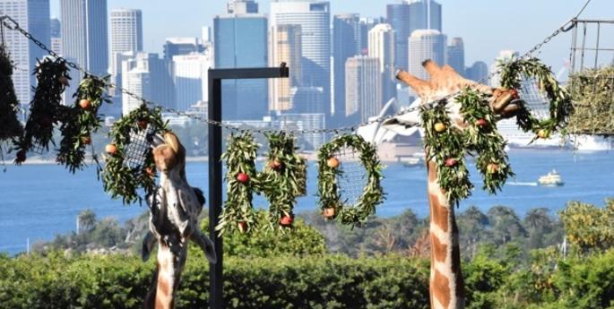 Christmas comes early for Taronga Zoo’s animals