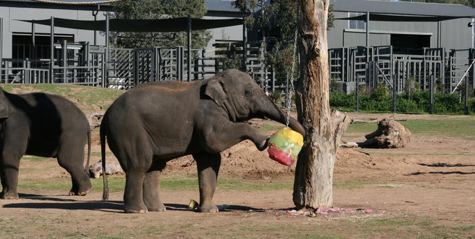 Luk Chai's 6th Birthday