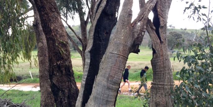 Shoulder to Shoulder – on the road