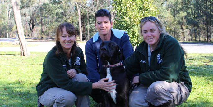 Cheetah companion dog Iris finds a new home