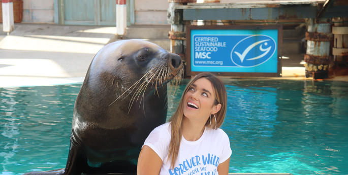 Sustainable Seafood Week