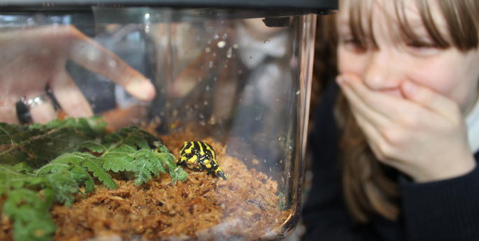 Kids teach kids event for endangered wildlife