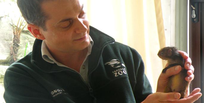 Baby Agouti's Big Adventure