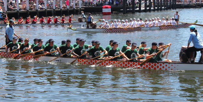 Flying Komodos Flew the Taronga Flag