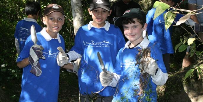 Project Penguin: Manly Vale Habitat Day Blog