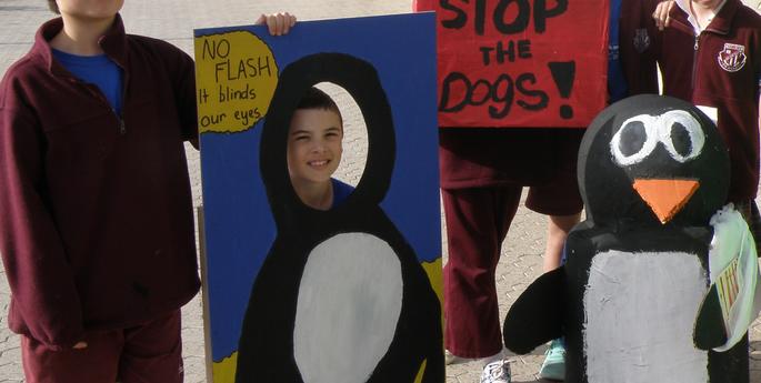 Taronga's Project Penguin Expo Day 2012