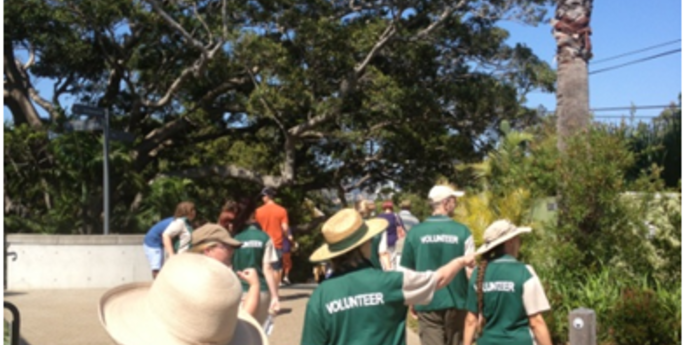 Volunteer Week