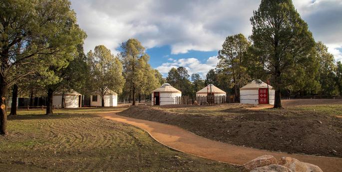 New Wild Herds exhibit opens