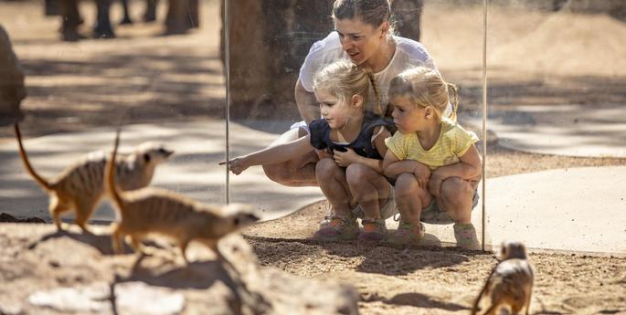 Christmas Gift Guide