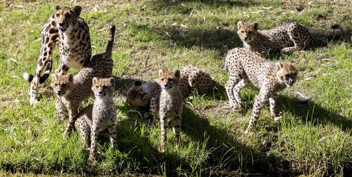 Six months old and thriving!