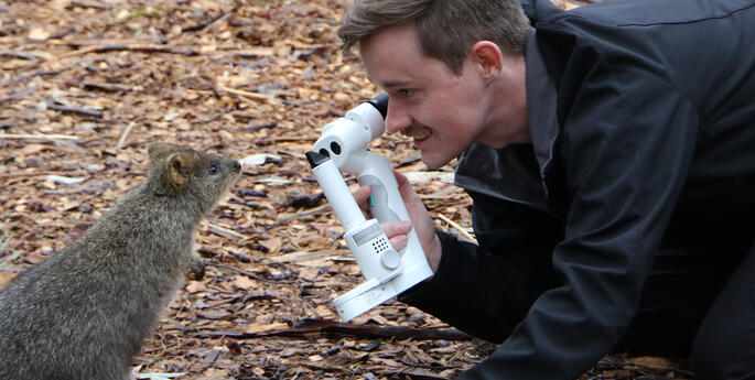 Quok's up at the wildlife hospital?!