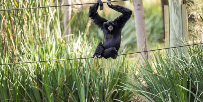 They're calling on you