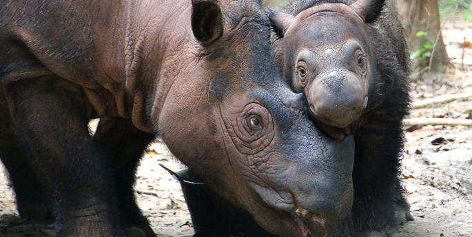 Five Minutes with a Wildlife Conservationist