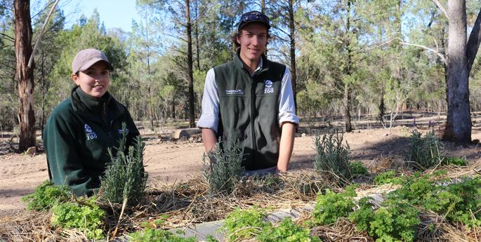 Stimulating the senses with herbs