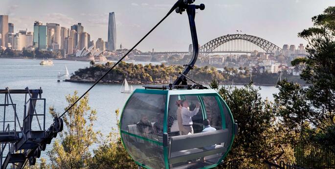 Construction set to take off for Taronga’s beloved Sky Safari