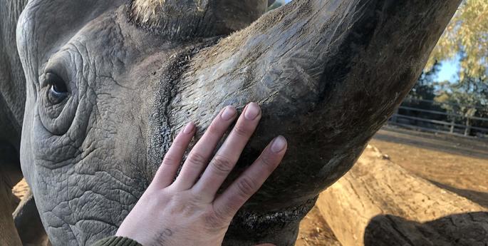 World Rhino Day - 22 September